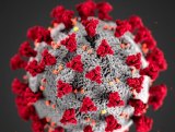 NC: New Steps to Protect Against COVID-19