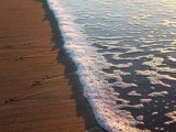 Current Events February 24-March 1
