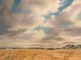 Seashore Updates