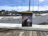 Perfect dockside reading