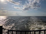 Ferry's wake