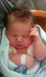 Welcome Josephine!