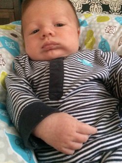 Welcome, Graydon!