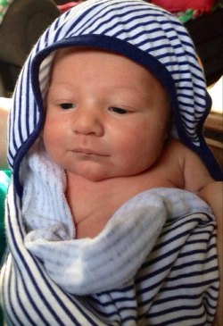 Welcome, Graydon!