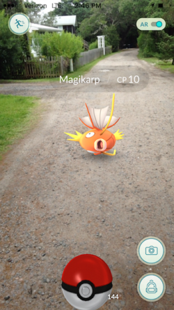 Fish out of water!