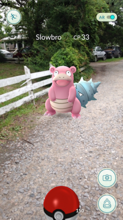 Our driveway, again.