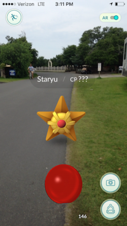 Sea star on British Cemetery Road