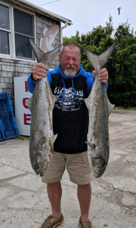 Spring Fishing Report Dan James caught several bluefish on May 9th from 30–36" fishing Ocracoke.