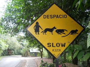 Hospitality Professionals on Vacation Beginning in December, Kristen and Clay backpacked through Central America for several months, never losing their senses of humor.