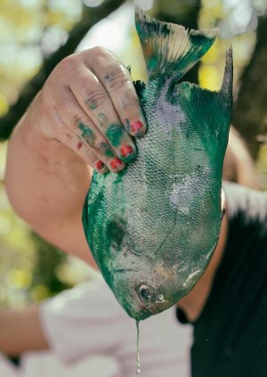 The Spadefish that attacked Crystal