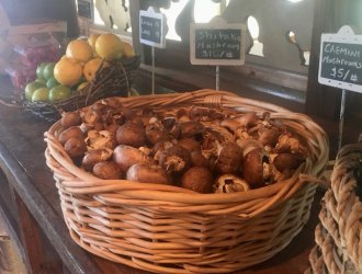 Local Business Evolves for 2020 Fresh fruits and vegetables are attractively displayed for purchase.