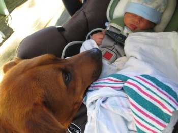 Welcome, Emmett! Cooper meets his little brother.