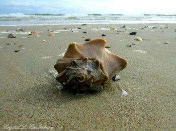 OBX Opposes Offshore Drilling Worth saving