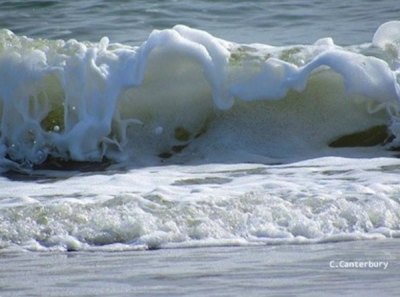 Photo by Crystal Canterbury