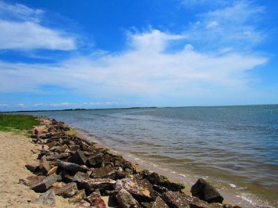Nature & History at Springer's Point