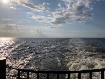 NC Ferry Coronavirus Update Ferry's wake