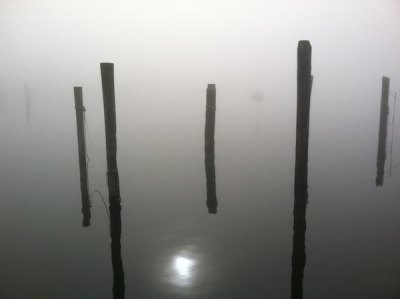Fog in Sound; Mainland Cut Off!