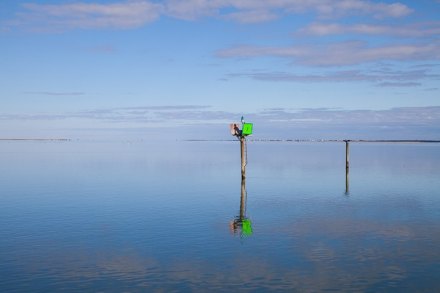 The Good, the Bad and the Ferry May all your crossings look like this.