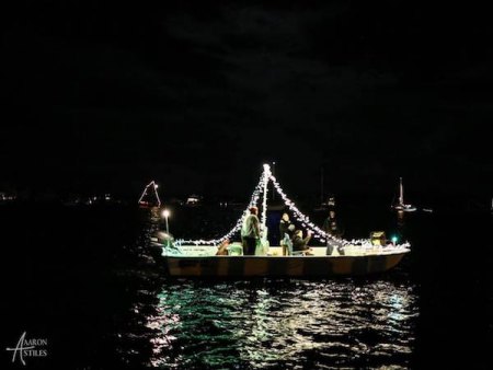 Light Up the Harbor