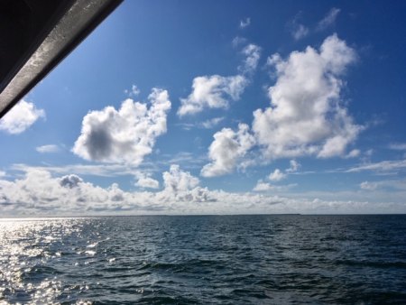 View from a lovely summer ferry ride
