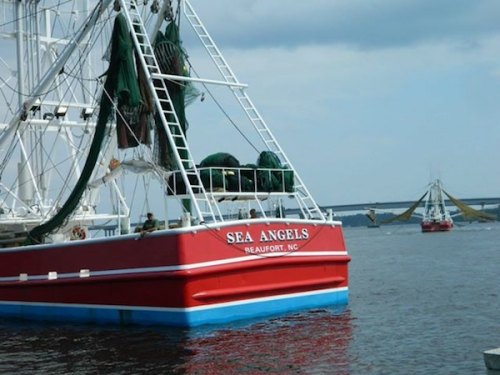 Petition Calls For More Limits on Trawling