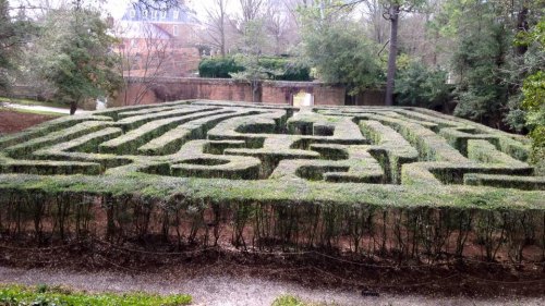 The Adventures of a 4th Grade Class The 4th graders are all in this maze somewhere!
