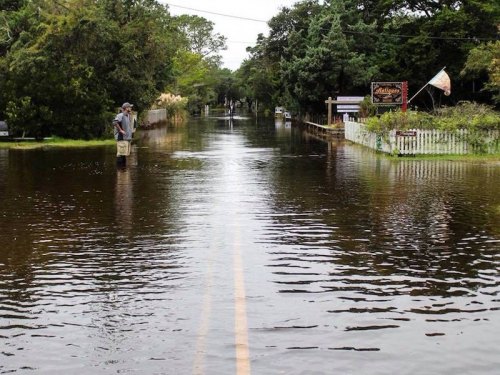 A Little Wind, A Little Tide Will contemplates the Back Road on Tuesday morning.