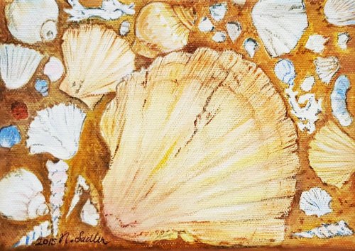 OPS Art Show Set for January 23rd Seashells by Nancy Sadler
