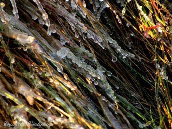 Ocracoke Iceland Ocracoke Iceland
