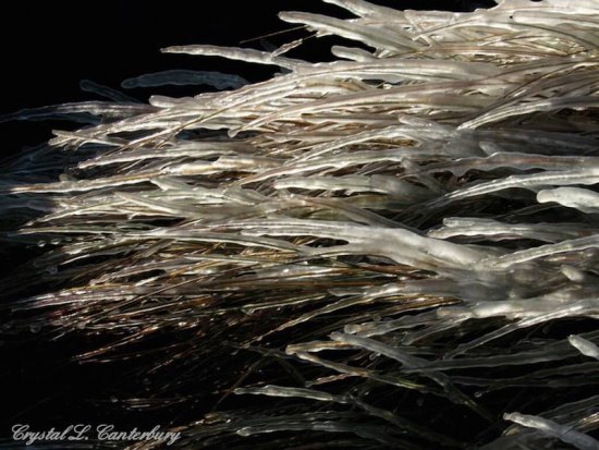 Ocracoke Iceland Ocracoke Iceland