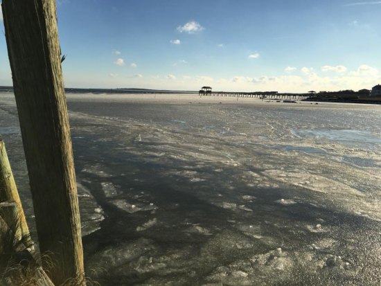 Baby, It's Colder Frigid shores of the Pamlico
