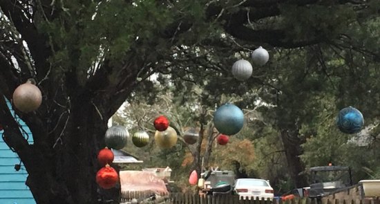 Where Am I? December 11th