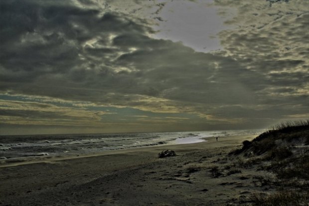 Winter Beach