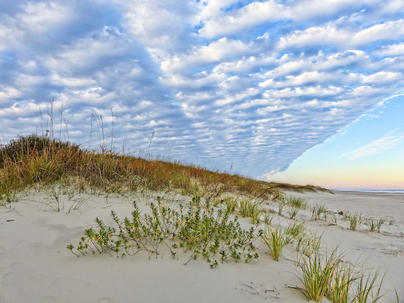 Beautiful Ocracoke Beautiful Ocracoke